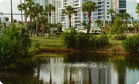 Sarasota Waterfront Properties